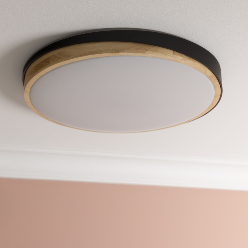 Brilliant - LED Prigušiva plafonjera BAARLO LED/36W/230V 3000-6500K pr. 50 cm crno/fikus elastika + Daljinski upravljač - FSC sertifikovano