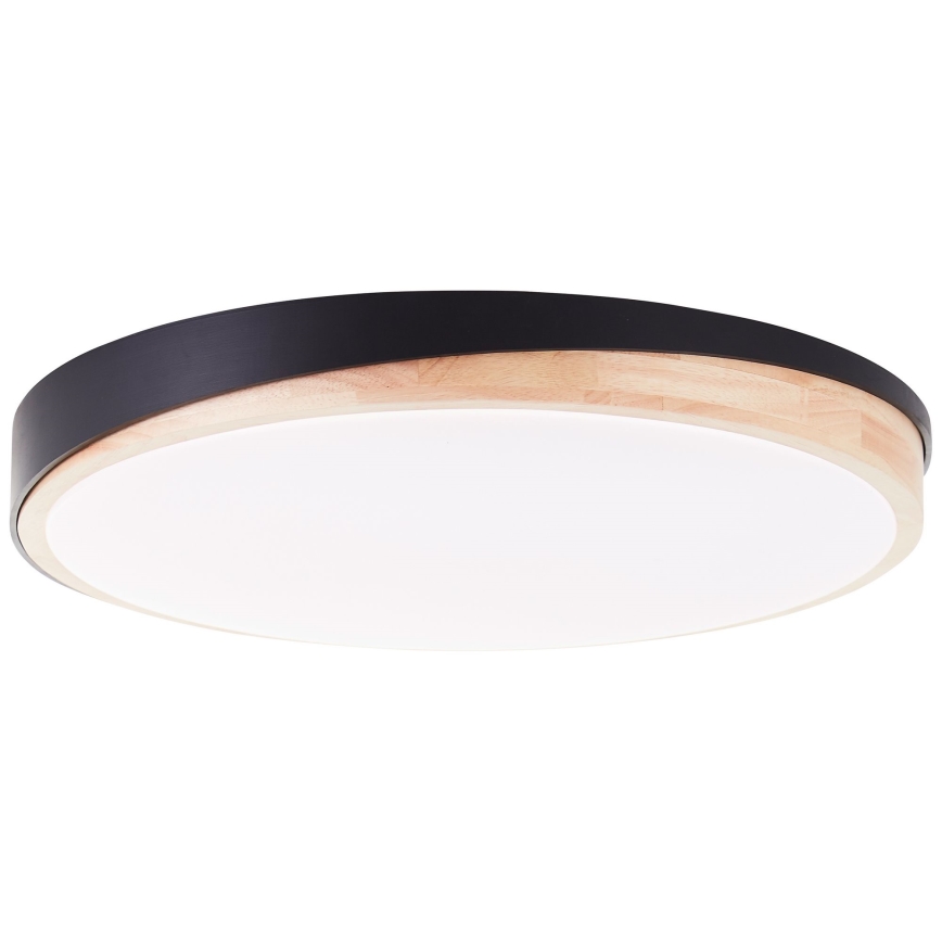 Brilliant - LED Prigušiva plafonjera BAARLO LED/36W/230V 3000-6500K pr. 50 cm crno/fikus elastika + Daljinski upravljač - FSC sertifikovano