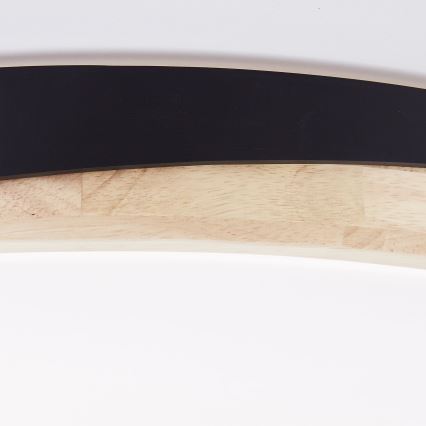 Brilliant - LED Prigušiva plafonjera BAARLO LED/36W/230V 3000-6500K pr. 50 cm crno/fikus elastika + Daljinski upravljač - FSC sertifikovano