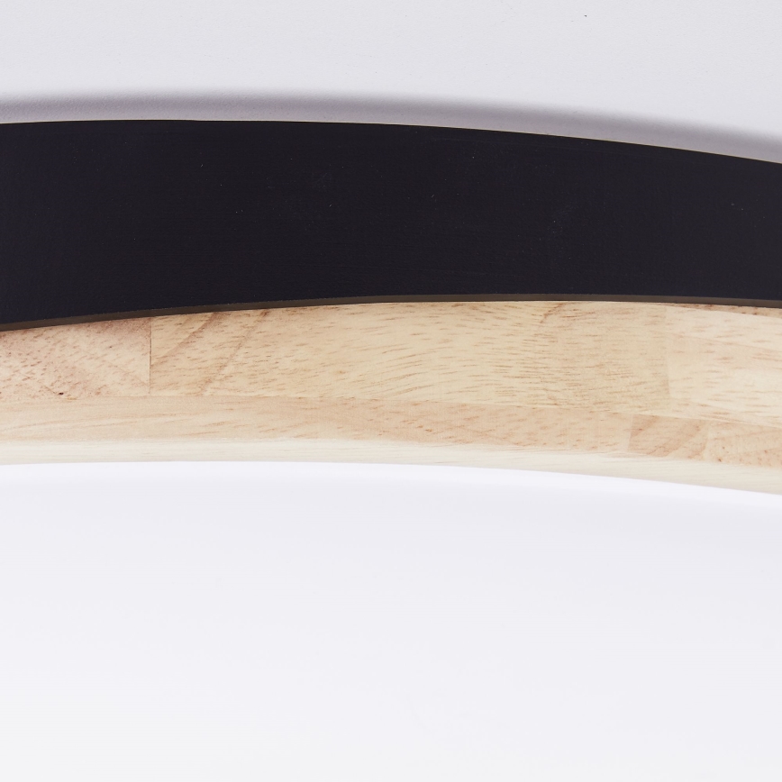 Brilliant - LED Prigušiva plafonjera BAARLO LED/36W/230V 3000-6500K pr. 50 cm crno/fikus elastika + Daljinski upravljač - FSC sertifikovano