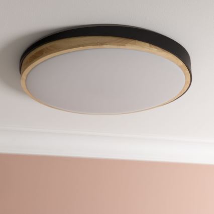Brilliant - LED Prigušiva plafonjera BAARLO LED/36W/230V 3000-6500K pr. 50 cm crno/fikus elastika + Daljinski upravljač