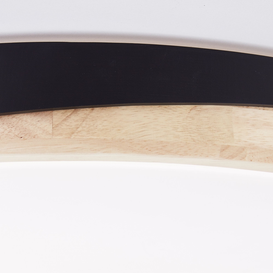 Brilliant - LED Prigušiva plafonjera BAARLO LED/36W/230V 3000-6500K pr. 50 cm crno/fikus elastika + Daljinski upravljač
