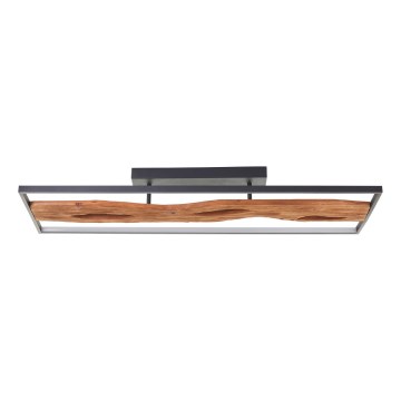 Brilliant - LED Prigušiva plafonjera CHAUMONT LED/48W/230V fikus elastika - FSC sertifikovano