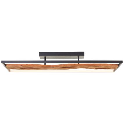 Brilliant - LED Prigušiva plafonjera CHAUMONT LED/48W/230V fikus elastika