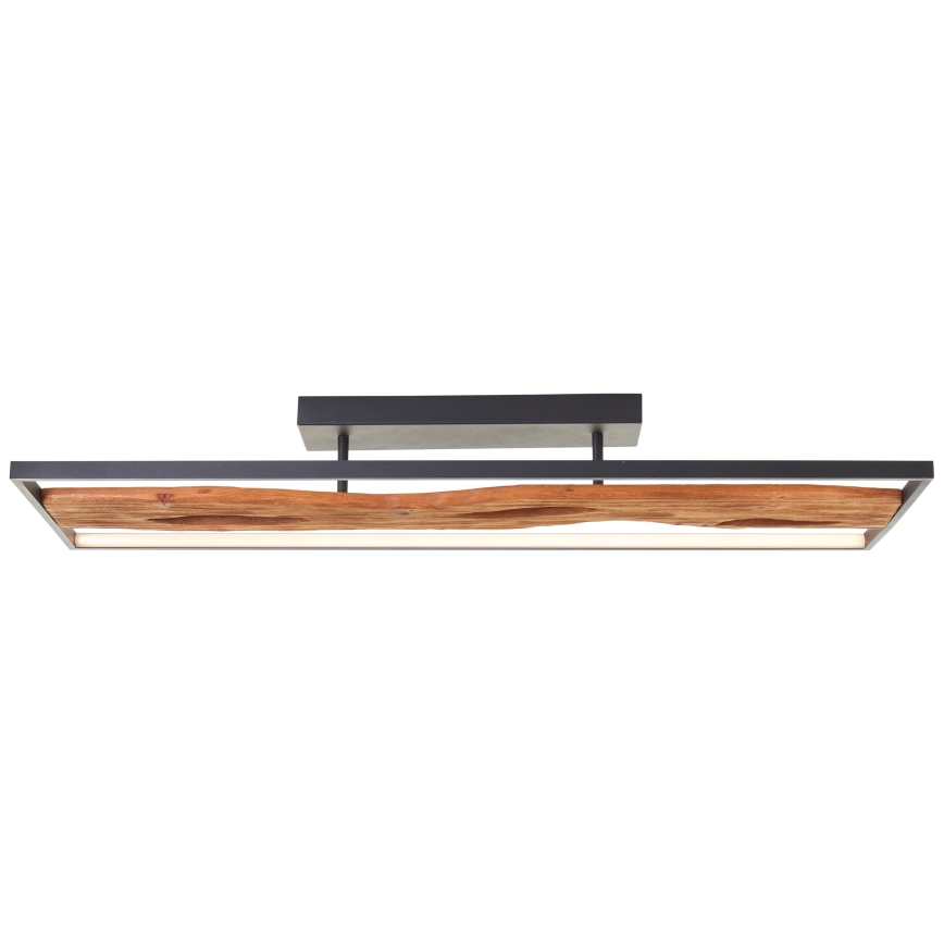 Brilliant - LED Prigušiva plafonjera CHAUMONT LED/48W/230V fikus elastika