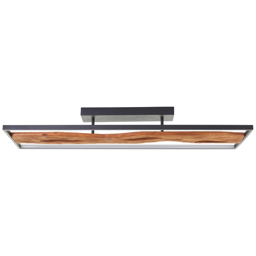 Brilliant - LED Prigušiva plafonjera CHAUMONT LED/48W/230V fikus elastika