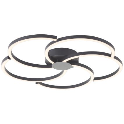Brilliant - LED Prigušiva plafonjera FICO LED/32W/230V pr. 57 cm crno