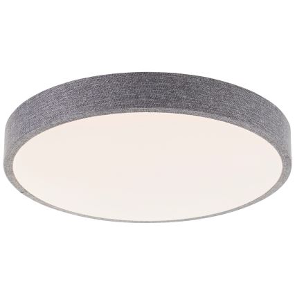 Brilliant - LED Prigušiva plafonjera FILIZ LED/24W/230V pr. 38,5 cm sivo