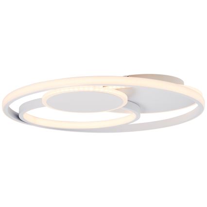 Brilliant - LED Prigušiva plafonjera RUNDA LED/50W/230V 3000-6500K bela + Daljinski upravljač