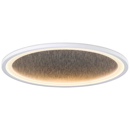 Brilliant - LED Prigušiva plafonjera TANIDA LED/31W/230V 3000-6500K + Daljinski upravljač