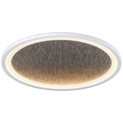 Brilliant - LED Prigušiva plafonjera TANIDA LED/31W/230V 3000-6500K + Daljinski upravljač