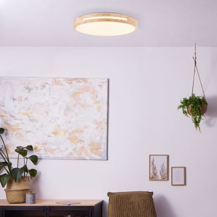 Brilliant - LED Prigušiva plafonjera WOODBURY LED/24W/230V pr. 39 cm fikus elastika - FSC sertifikovano