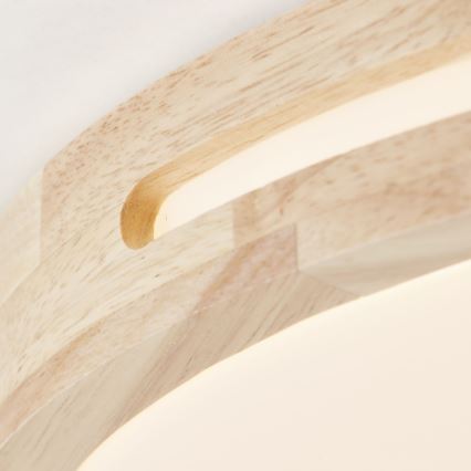 Brilliant - LED Prigušiva plafonjera WOODBURY LED/24W/230V pr. 39 cm fikus elastika