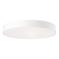 Brilliant - LED prigušiva plafonska svetiljka SLIMLINE LED/60W/230V 3000-6500K prečnik 49 cm bela + daljinski upravljač