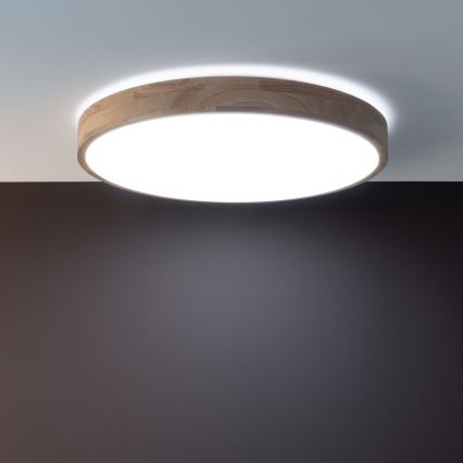 Brilliant - LED prigušiva stropna svetiljka SLIMLINE LED/60W/230V 3000-6500K prečnik 45 cm kaučukovo drvo + daljinski upravljač