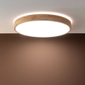 Brilliant - LED prigušiva stropna svetiljka SLIMLINE LED/60W/230V 3000-6500K preč. 45 cm bež + daljinski upravljač