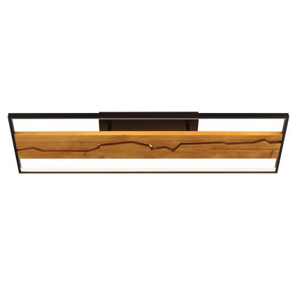 Brilliant - LED prigušiva stropna svetiljka THUNDER LED/42W/230V borovina