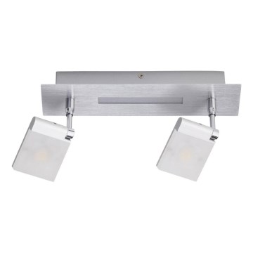 Brilliant - LED Reflektorska lampa PLAXICO 2xLED/6W/230V