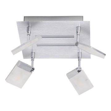 Brilliant - LED Reflektorska lampa PLAXICO 4xLED/6W/230V