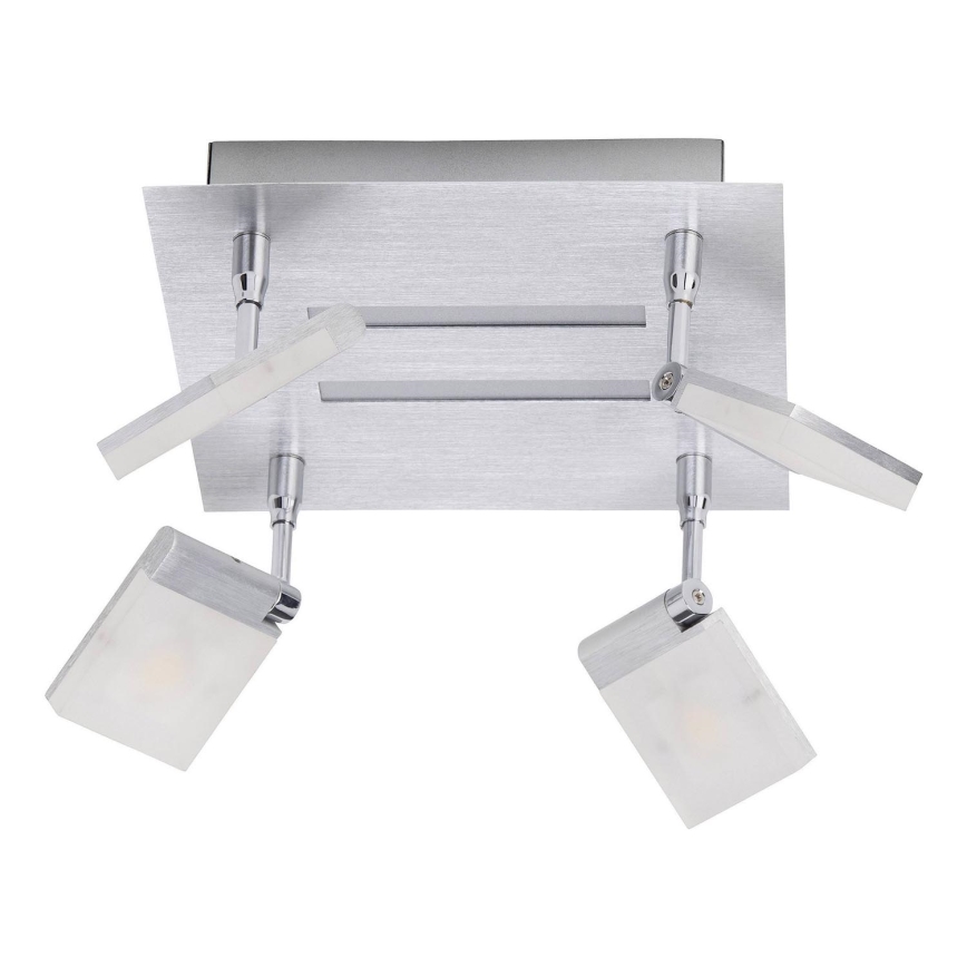 Brilliant - LED Reflektorska lampa PLAXICO 4xLED/6W/230V