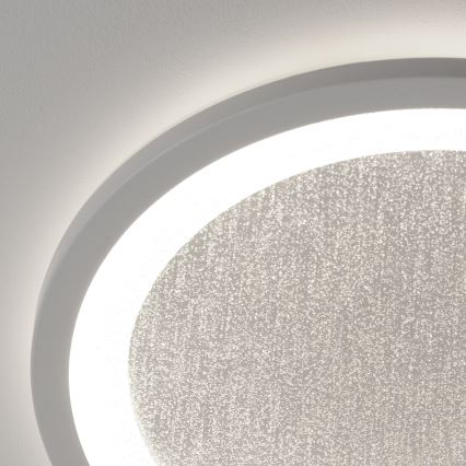 Brilliant - LED RGBW Prigušiva plafonjera TANIDA LED/22W/230V 3000-6500K+ Daljinski upravljač