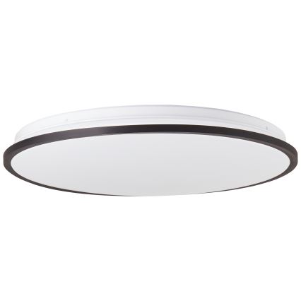 Brilliant - LED RGBW Prigušiva plafonjera HEIDA LED/30W/230V 3000-6500K + Daljinski upravljač