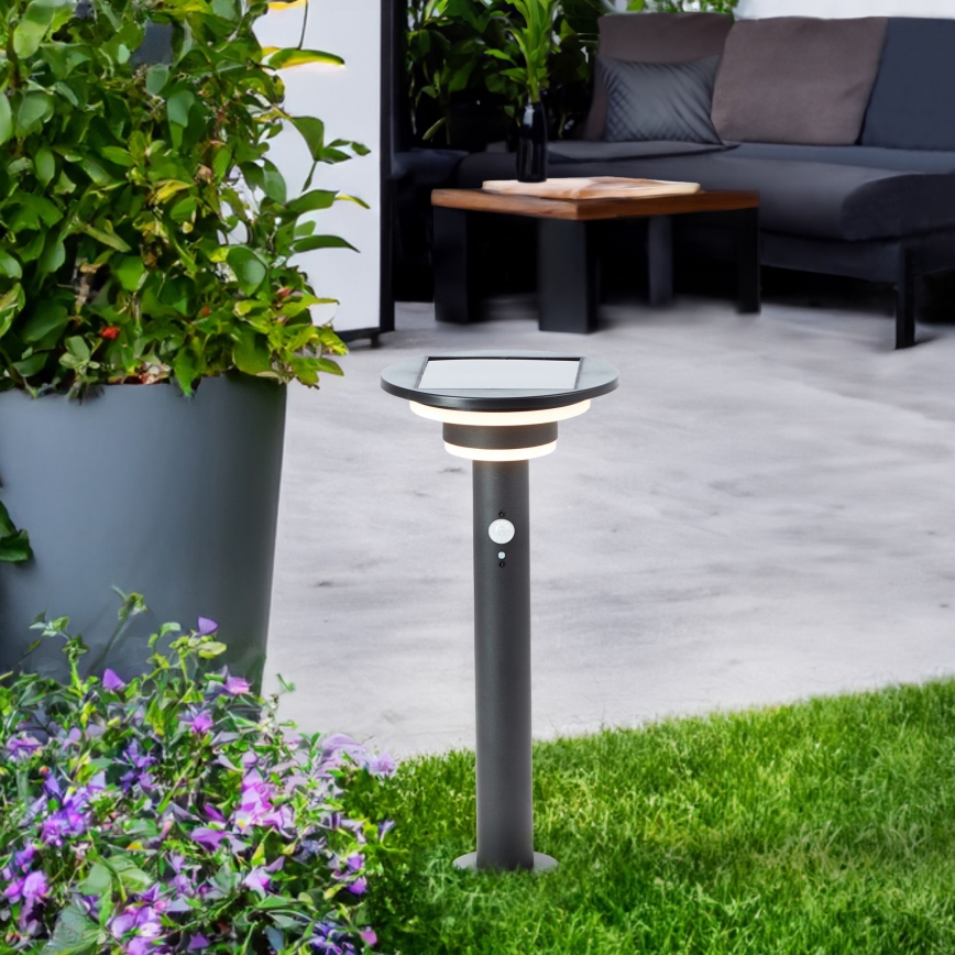 Brilliant - LED Solarna lampa sa senzorom GARVINA LED/3W/3,7V 45 cm IP44 crno