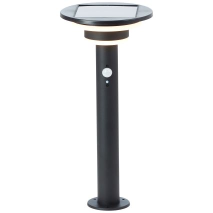 Brilliant - LED Solarna lampa sa senzorom GARVINA LED/3W/3,7V 45 cm IP44 crno