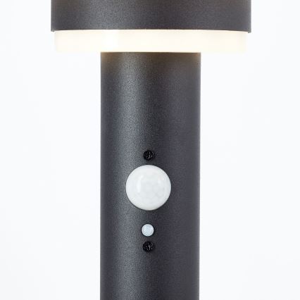 Brilliant - LED Solarna lampa sa senzorom GARVINA LED/3W/3,7V 45 cm IP44 crno