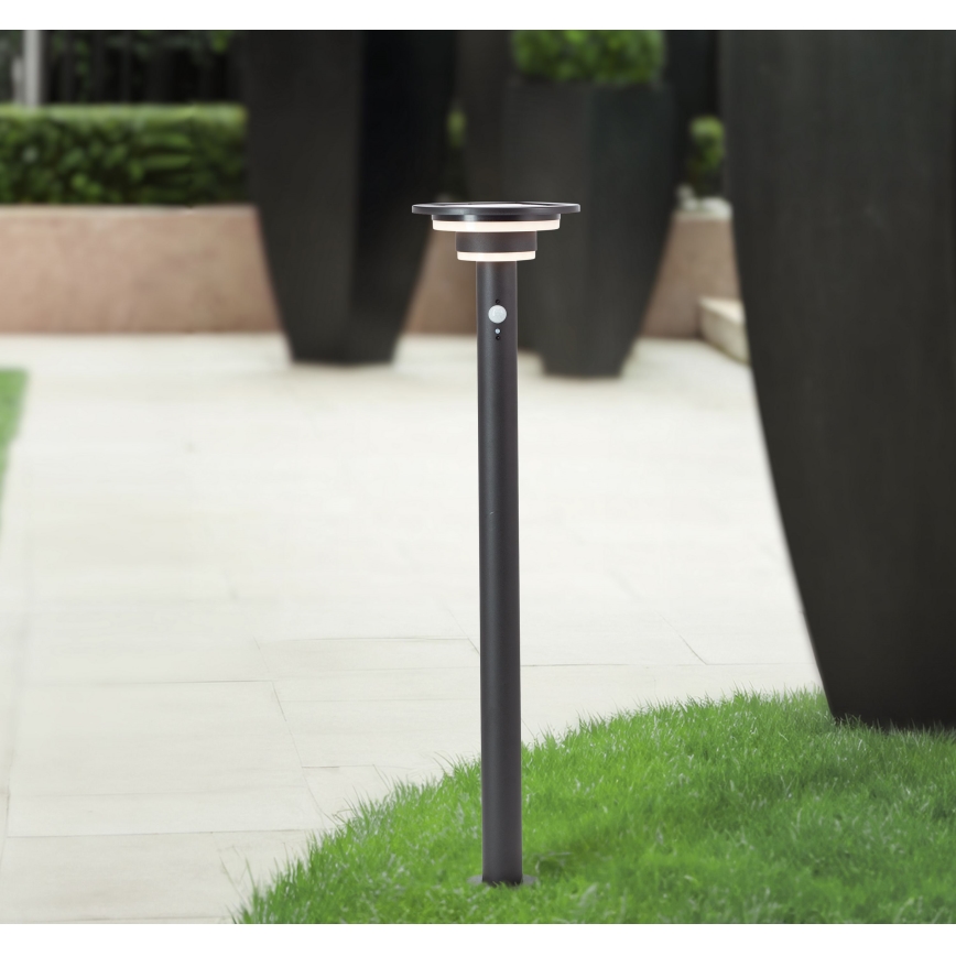 Brilliant - LED Solarna lampa sa senzorom GARVINA LED/3W/3,7V 85 cm IP44 crno