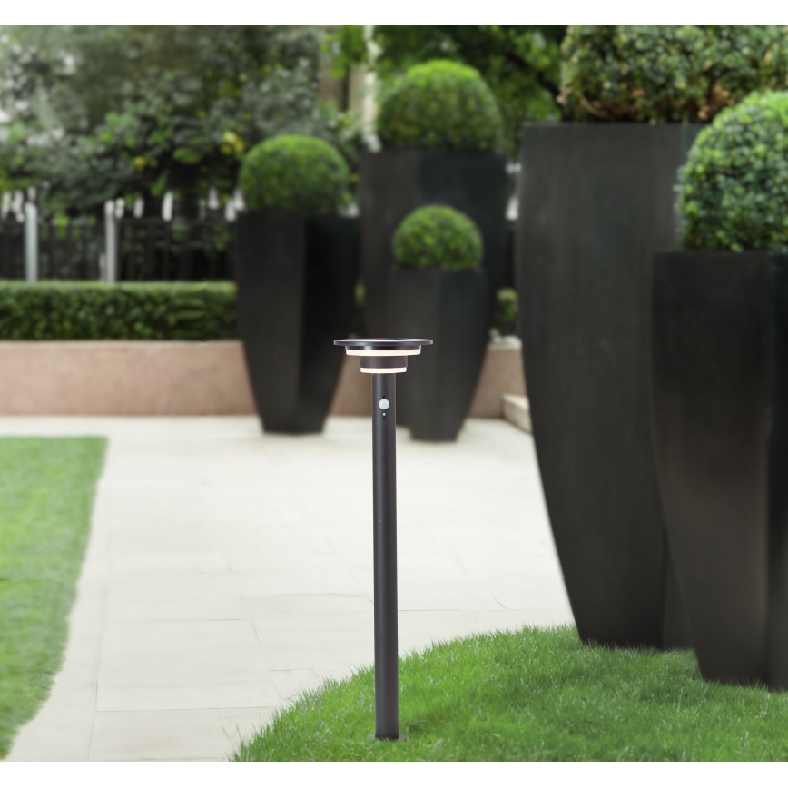 Brilliant - LED Solarna lampa sa senzorom GARVINA LED/3W/3,7V 85 cm IP44 crno