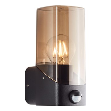 Brilliant - Spoljašnja zidna lampa sa senzorom MINOU 1xE27/10W/230V IP44 crno/dimno