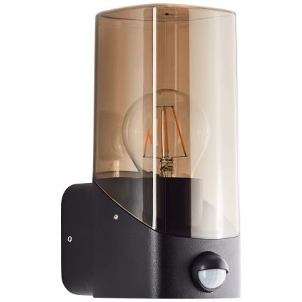 Brilliant - Spoljašnja zidna lampa sa senzorom MINOU 1xE27/10W/230V IP44 crno/dimno