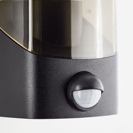 Brilliant - Spoljašnja zidna lampa sa senzorom MINOU 1xE27/10W/230V IP44 crno/dimno