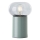 Brilliant - Stona lampa KNUT 1xE27/25W/230V zelena/prozirna