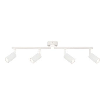Brilliant - LED Reflektorska lampa AKMA 4xLED/5W/230V bela