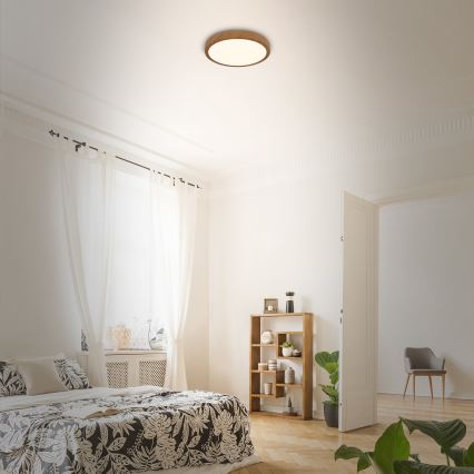Brilo - LED Plafonjera RUNA LED/12W/230V