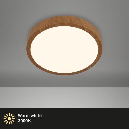 Brilo - LED Plafonjera RUNA LED/12W/230V