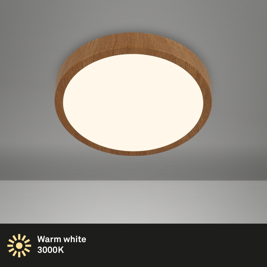 Brilo - LED Plafonjera RUNA LED/12W/230V
