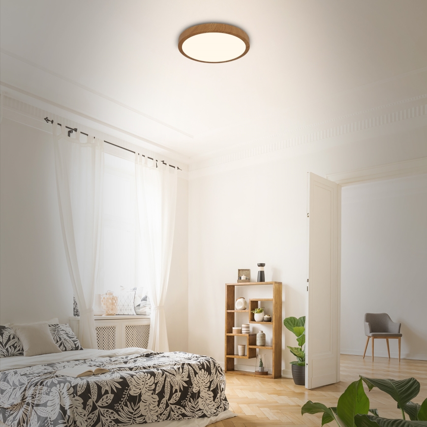 Brilo - LED Plafonjera RUNA LED/24W/230V