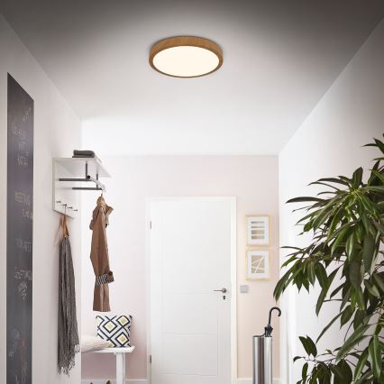 Brilo - LED Plafonjera RUNA LED/24W/230V