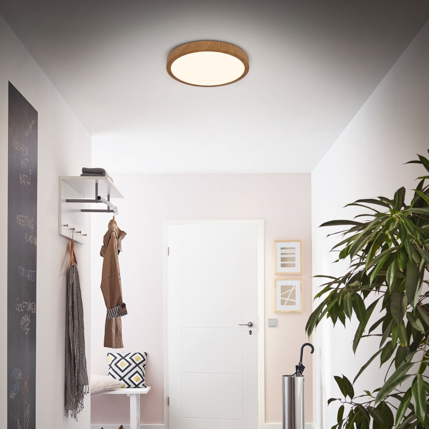Brilo - LED Plafonjera RUNA LED/24W/230V