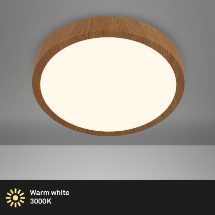 Brilo - LED Plafonjera RUNA LED/24W/230V