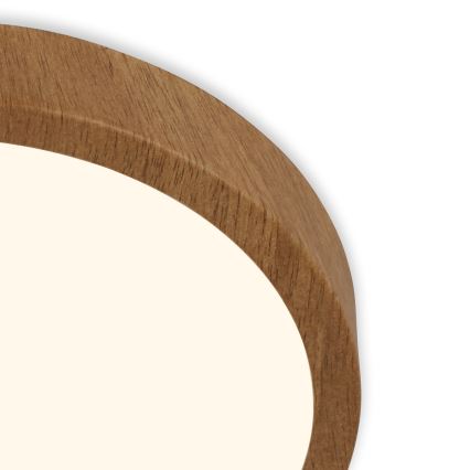 Brilo - LED Plafonjera RUNA LED/24W/230V