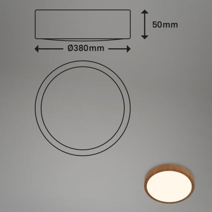 Brilo - LED Plafonjera RUNA LED/24W/230V