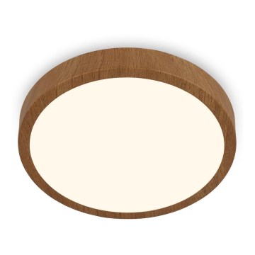 Brilo - LED plafonsko svetlo RUNA LED/24W/230V