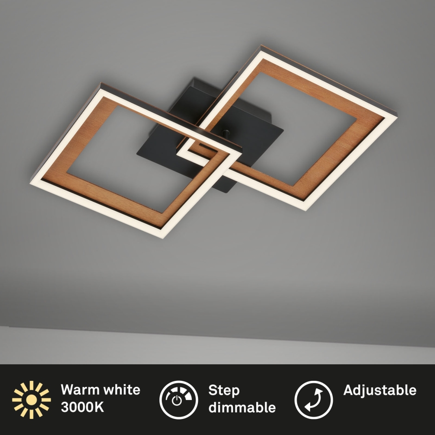 Brilo - LED Prigušivi nadgradni luster FRAME 2xLED/11W/230V
