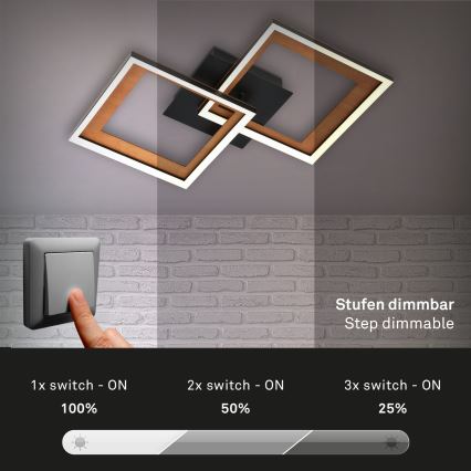 Brilo - LED Prigušivi nadgradni luster FRAME 2xLED/11W/230V