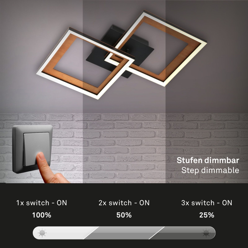 Brilo - LED Prigušivi nadgradni luster FRAME 2xLED/11W/230V