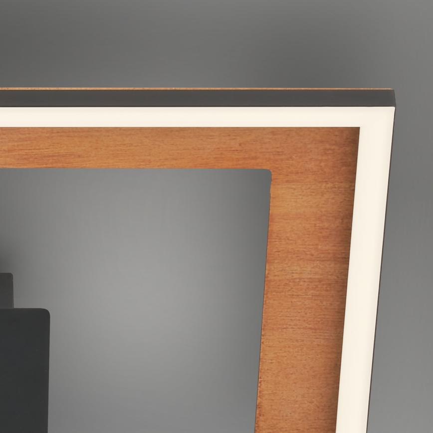 Brilo - LED Prigušivi nadgradni luster FRAME 2xLED/11W/230V